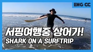 [D.S.K.] Surf Vlog - Ventura Surf Trip Ep.2