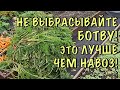 НЕ ВЫКИДЫВАЙТЕ БОТВУ от МОРКОВИ! Показываю как сделать БЕСПЛАТНОЕ СУПЕР удобрение! ЛУЧШЕ ЧЕМ НАВОЗ!