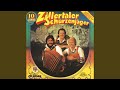 Miniature de la vidéo de la chanson Ein Edelweiss Als Talisman