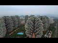 睡前助眠故事:暖爐旁貓咪的呼嚕聲
