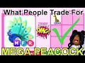 What People Trade For Mega Peacock In Adopt me Trading And Giveaway