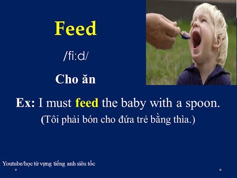Video Học tiếng anh theo chủ đề | Động từ thường dùng trong... - YouTube