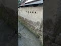 jalan WIT si gesit