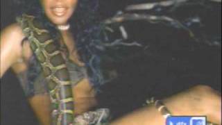 Aaliyah dancing to Tyra Banks
