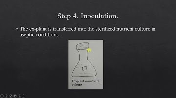 Tissue culture technique and its advantages. IPE TS and AP 2nd yr LAQ. IMPORTANT QUESTION.