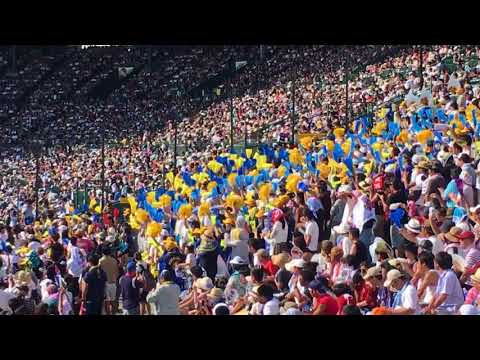 2017年夏の高校野球 アルプス席の応援 花咲徳栄高校（埼玉県代表）