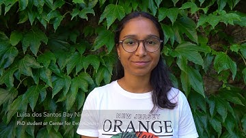 Meet the researchers - Luisa reveals her research within the new field of behavioural hologenomics