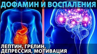 Дофамин и воспаления (а также лептин, грелин, мотивация, депрессия, питание и голодание)