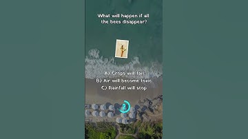 Science quiz. Science trivia. Science quiz questions. What if quiz. #sciencetrivia #sciencequiz