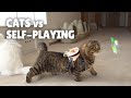 Cats vs Self-Playing | Kittisaurus