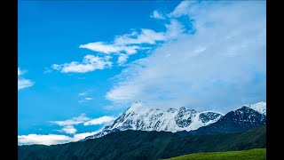 How to Meditate with Alpha and Delta Waves and get Healthy!!!!