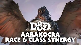D&D 5e Race & Class Synergy | Aarakocra