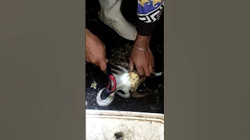 طريقة قتل الاخطبوط في اسرع وقت 