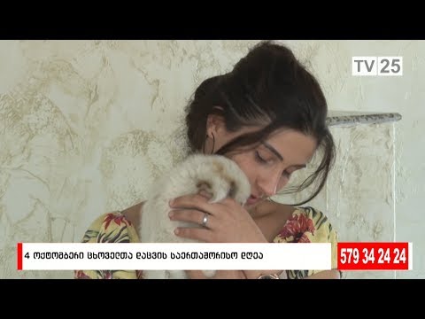 გაიცანით ოთხფეხა მეგობრებზე შეყვარებული ადამიანები