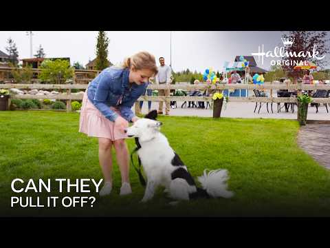 Their Big Moment Finally Arrives at the "Super Pups Annual Agility Show" | Romance to the Rescue