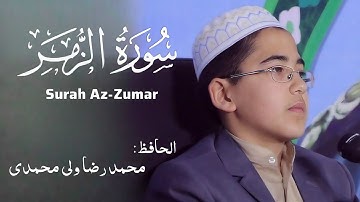 محمد رضا ولى محمدى - تلاوة سورة الزمر من الآية ٧٣ إلي ٧٥