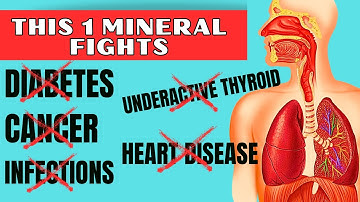 5 Foods Highest In Selenium, A Life Saving Mineral