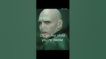 YN X MATTHEO RIDDLE  ARRANGED  PART 1 #harrypotter #jamespotter #dracomalfoy #matteoriddle #yn #