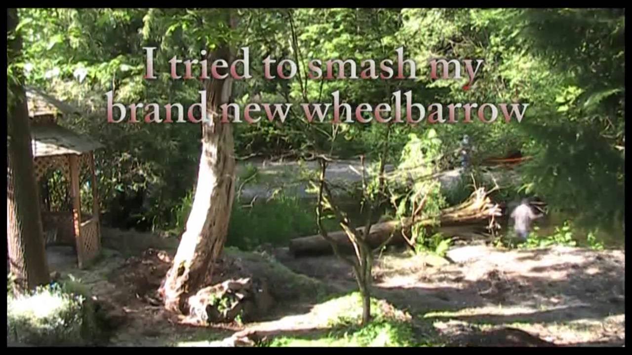 Dangerous Dead Maple Tree Felling