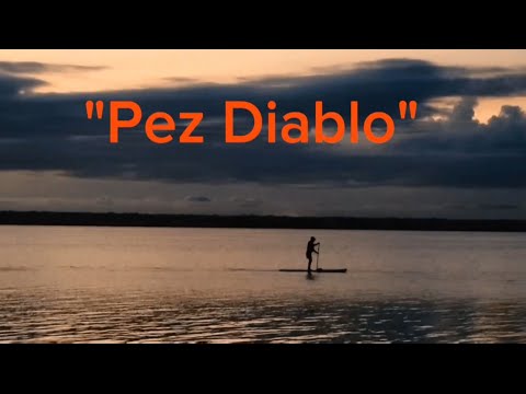 Pez Diablo en Bacalar 