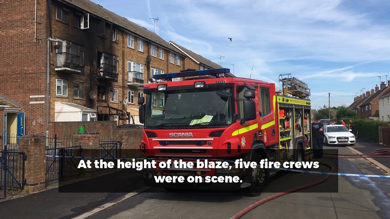 rescue dogs rock nyc Aftermath of flat fire in North Lynn
