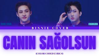 Bangchan & Changbin - Canın Sağolsun (AI Cover) Resimi