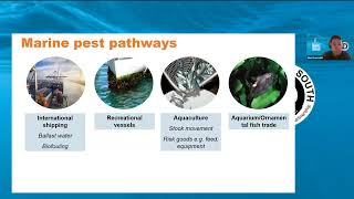 Marine Pest ID Webinar - June 2025
