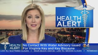 No Contact With Water Advisory For Virginia Key, Key Biscayne