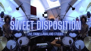 Youngr - Sweet Disposition (Live from Llamaland Studios)