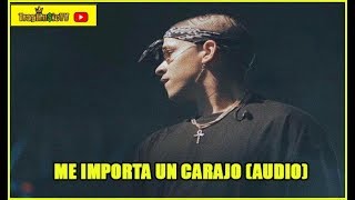 Me Importa Un Carajo - Bad Bunny (Audio Official)