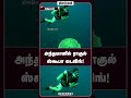 அந்தமானில் ராகுல் ஸ்கூபா டைவிங்!