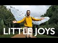 Tom rosenthal  little joys official