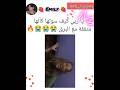 حرفيا أكثر وحده ضبطت ترند البرق   