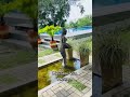 Mantara Villa Mathara #onemillionviews #love #1000k #viral #onemillionviews #dayouting