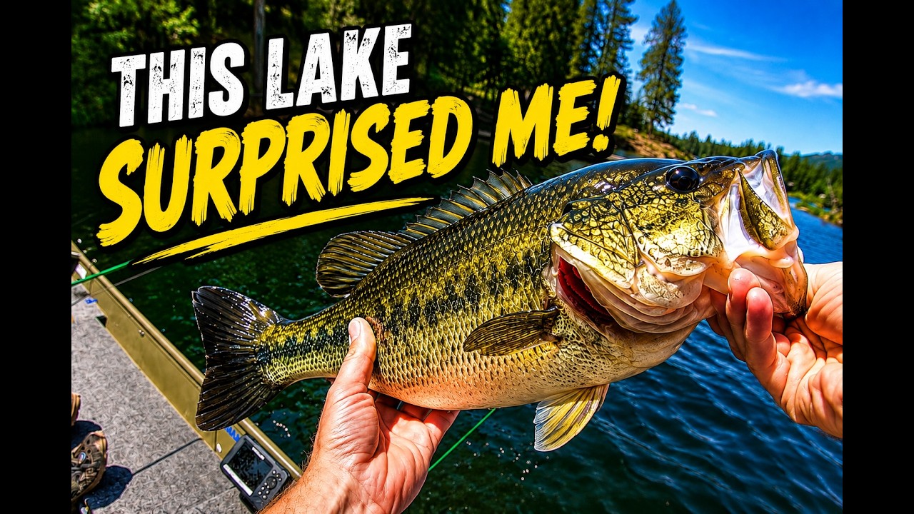 I Didn't Expect This From Sacheen Lake…| Eastern Washington Bass Fishing