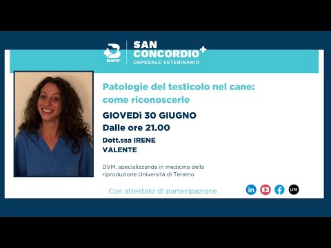 Video: Come dire a una quaglia maschio e femmina a parte