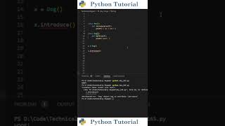Inheriting A Class | Python Tutorial