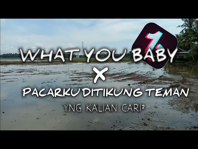 DJ WHAT YOU BABY X PACARKU DITIKUNG TEMAN VIRAL TIK TOK | YNG KALIAN CARI² | TERBARU | BLACK WIDOW class=