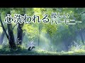 【1/fゆらぎ】涙があふれる森の静寂。疲れた脳を休めるチェロとピアノ | Healing Forest Cello & Piano