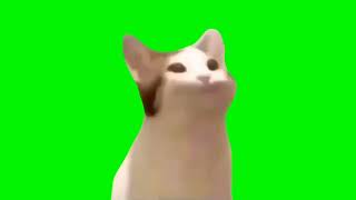 pop cat meme [IMPROVED GREEN SCREEN]