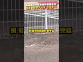 嘉義暴雨事件