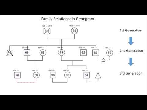 Genogram Drawing Guide - How to Draw Family and Emotional Relationships Genogram| EdrawMax