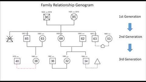 Genogram Drawing Guide - How to Draw Family and Emotional Relationships Genogram| EdrawMax