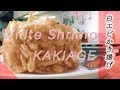 富山湾の宝石【白海老】かき揚げ＆手打ち蕎麦！How to make rare white shrimp TEPURA & soba