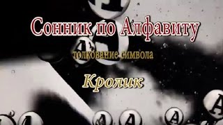 К чему снится Кролик сонник, толкование сна К чему снится Кролик сонник, толкование сна