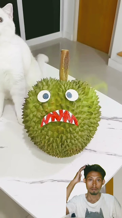 HANTU DURIAN!!