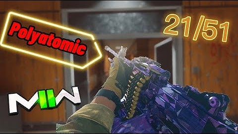 Mw2 polyatomic camo guide 21/51 (SAKIN MG38) lmg