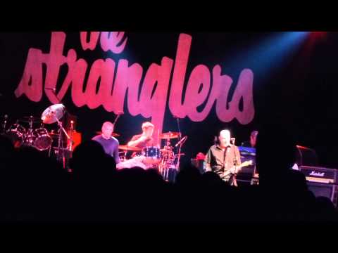 Stranglers - Peaches - Salisbury 2013