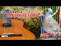 BANJAR PETUNG DRAMA TARLING FULL | BATUR TURU CHANNEL