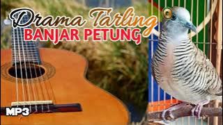 BANJAR PETUNG DRAMA TARLING FULL | BATUR TURU CHANNEL